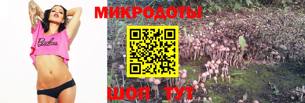 Псилоцибиновые грибы ЛСД Мытищи